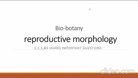 #11th #tnscert bio botany unit:4 REPRODUCTIVE MORPHOLOGY  #importantquestions #publicexam #botany