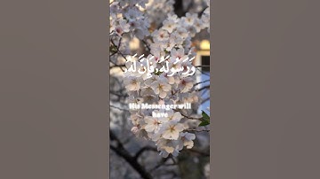 سورة الجن الآية ٢٤ #آيات #اكسبلور #دويتو #سورة #ايات #قرآن  #سورة_الجن #اللهم_صلي_على_نبينا_محمد