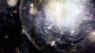 Verse Immersive Art Exhibition Atelier Des Lumières, Paris, France