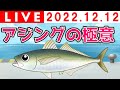 【ライブ授業】アジングの極意