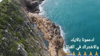 الكوب السحري لعلاج الغثيان والصداع