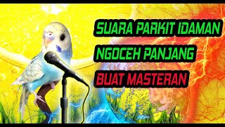 Josss EDANNN‼️ Masteran Parkit Suara Super Gacor Jernih Panjang MP3