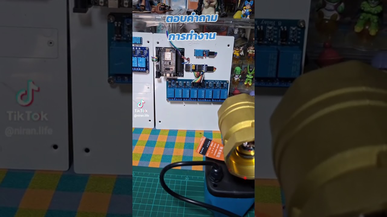 21 กุมภาพันธ์ ค.ศ. 2026