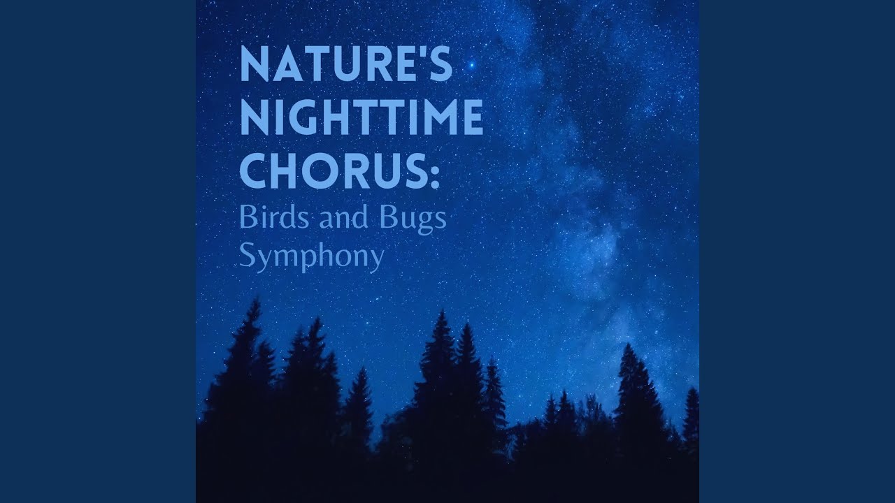 Nocturnal Harmonies: Whispers in the Dark
