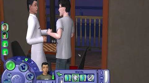 Pascal and Nervous Sims 2