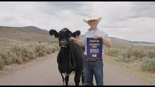 Champion Beef Showman Shares Tips and Show Essentials For Champions