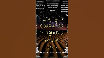 قالوا أدع لنا ربك يبين لنا ما لونها - سورة_البقرة - الشيخ أحمد بن طالب حميد #أحمد_طالب
