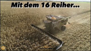 Mit dem 16 Reiher Mais Dreschen! WESTHOFF AGRAR mit dem Größten Maispflücker in Deutschland