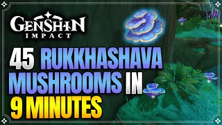 Rukkhashava Mushrooms Locations | Fast and Efficient Route | Ascension Materials |【Genshin Impact】