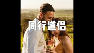 201902 同行道侣25599