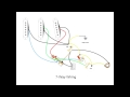 David Gilmour Black Strat Wiring Diagram