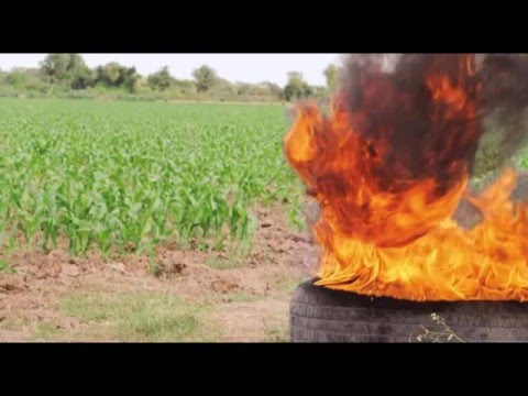 Video: Cómo Evitar Las Heladas