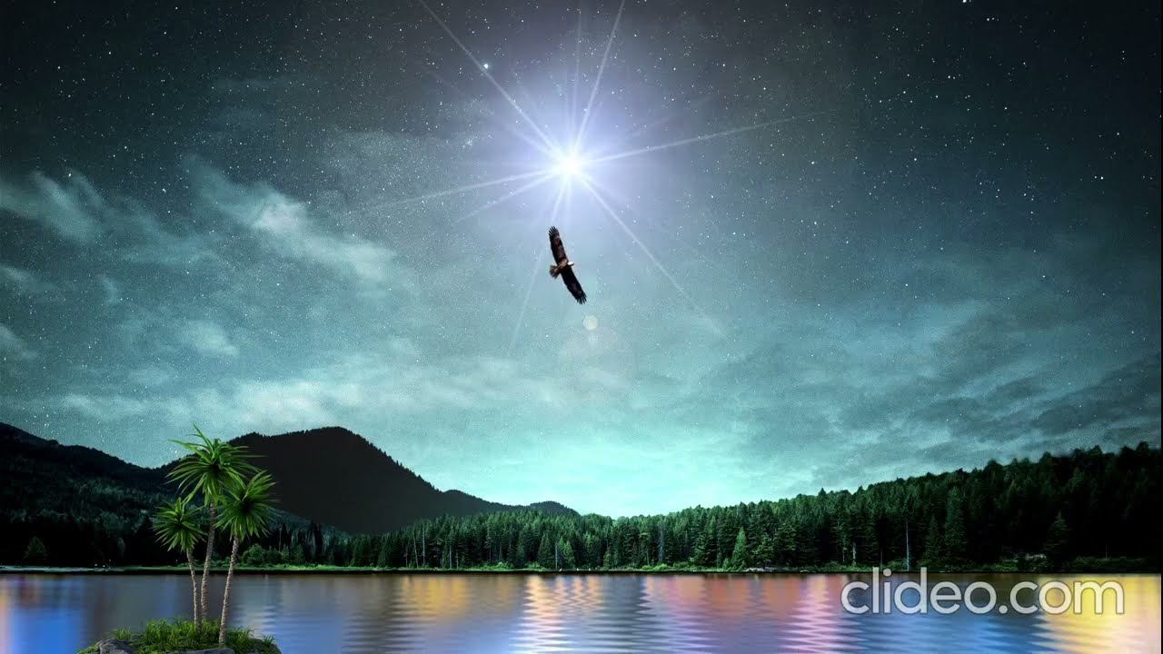 The Vessel - by Michele Neal