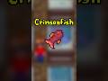 Crimsonfish - Stardew Valley | 10 #stardewvalley