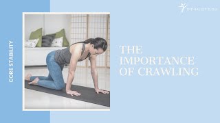 Discover The Importance of Crawling