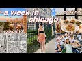 A WEEK IN CHICAGO 2022 | exploring neighborhoods, cubs game, museums, lots of eating!