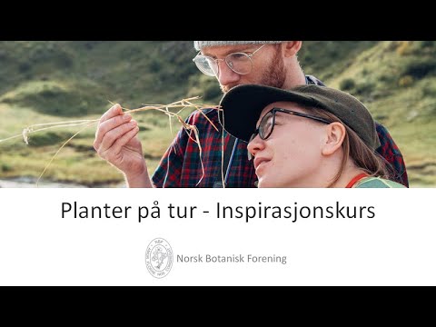 Planter på tur - Inspirasjonskurs