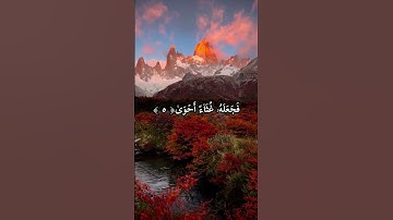 سورة الاعلى _القران الكريم