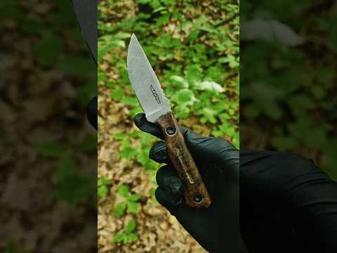 Fixed blade EDC in natural habitat