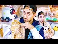 Jai command 8 jouets bizarre pour mon chat  2 jai achet des dingueries