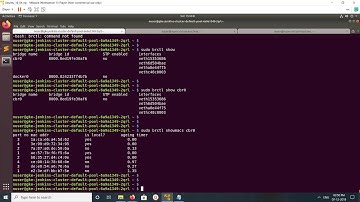 How to show a MAC learning Table of Linux bridge