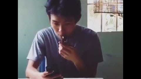 Cat Plays Ringtone on Xylophone