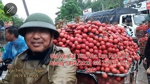 Giá Vải Tại Tân Hoa Lục Ngạn Bắc GiangVietnamese lychee