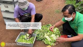 BPTP Jakarta-Pemanfaatan Limbah Rumah Tangga untuk Pertanian Menggunakan Teknologi Vermikomposting