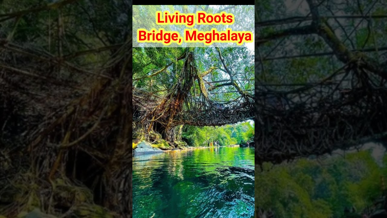 🔥🔥10 Offbeat Destinations in India That Every Indian Must Try to Visit in 2023 | #shorts 🔥🔥