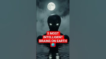 5 Most Intelligent Brains on Earth 🧠  #facts   #mind #4k