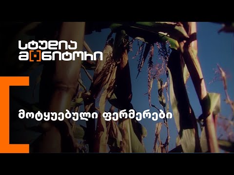 მოტყუებული ფერმერები