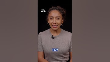 Is there a missing piece of evidence in the Delphi Murders?