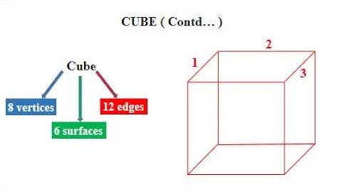 Math, Class 6, Session 1, Chapter 12, Three Dimensional Solids, Concepts + Exercise 12.1
