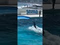FISH&👏👆🐬😱🤣👋#fishing #fishstarter #shortvideofish #shortsfisheavideo🌊 #shortvideo #🌊👏👆🐬😱🤣👋