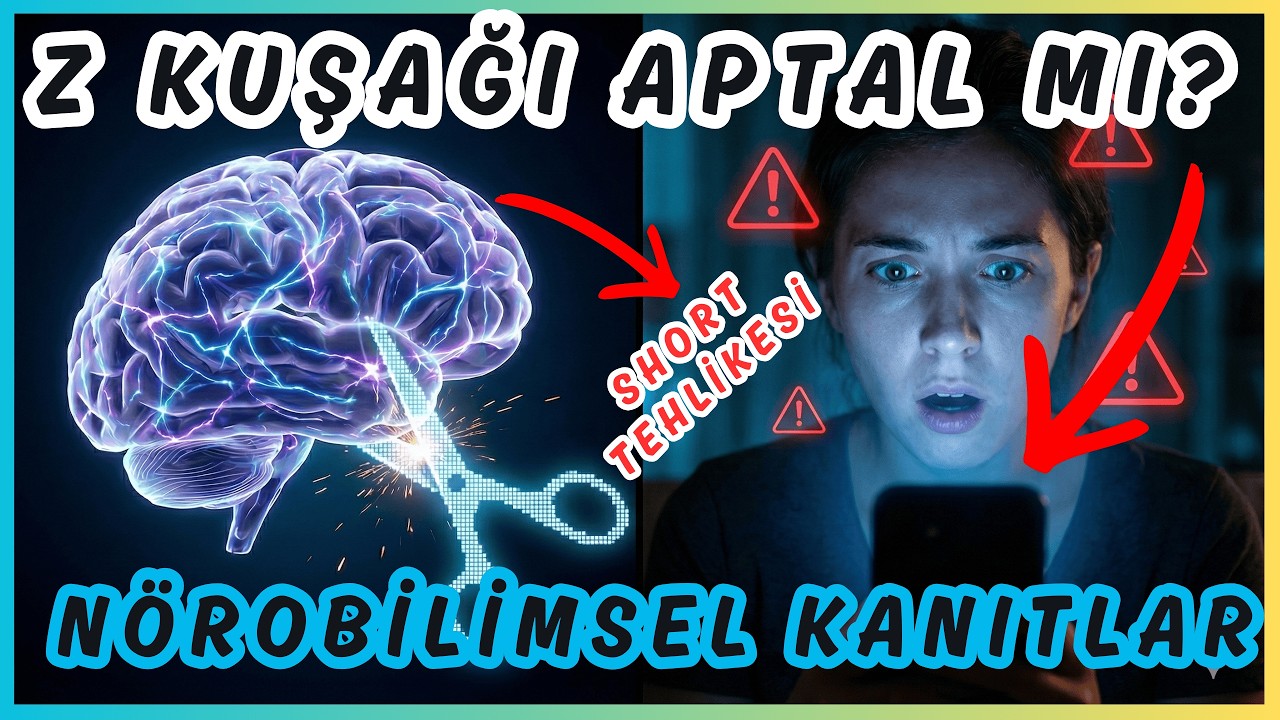 Почему поколение Z «тупое»? Нейробиологические данные