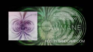 Hostin x Steele (ft. Jakub Zytecki) - Awmane chords