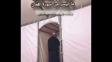 ما تيسر من سورة لقمان بصوت: لرجَان محمَّد عبد الحَميد/ مسجد الشيخ محمد البشير الابراهيمي بوزريعة 🫀🍂