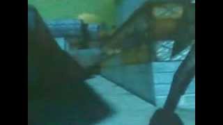 bugs 01 castelo porto crossfire al