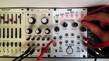 4MS Tapographic Delay