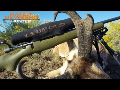 Como processar Antelope no campo; Caça com Randy Newberg