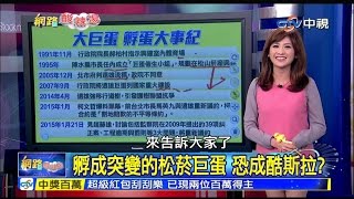 20150127 網路酸辣湯 方彥廸