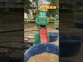 Máy nhỏ mà có võ, điện 220v chỉ cần cắm vào là ép ra viên | Máy Ép Cám Viên S150