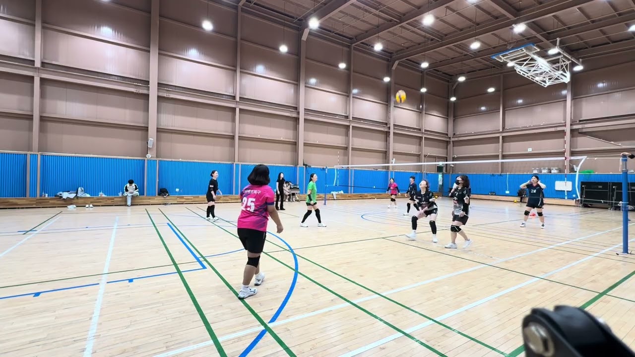 안산동포배구협회