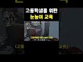 고등학생을 위한 눈높이 교육