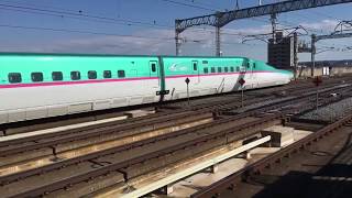 1000人突破記念、2日間連続生配信‼︎東北新幹線古川駅でのライブ配信Live delivery at Tohoku Shinkansen Furukawa Station