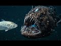 Don’t Follow the Light — The Deadly Trap of the Anglerfish | Deep Sea Horror Documentary