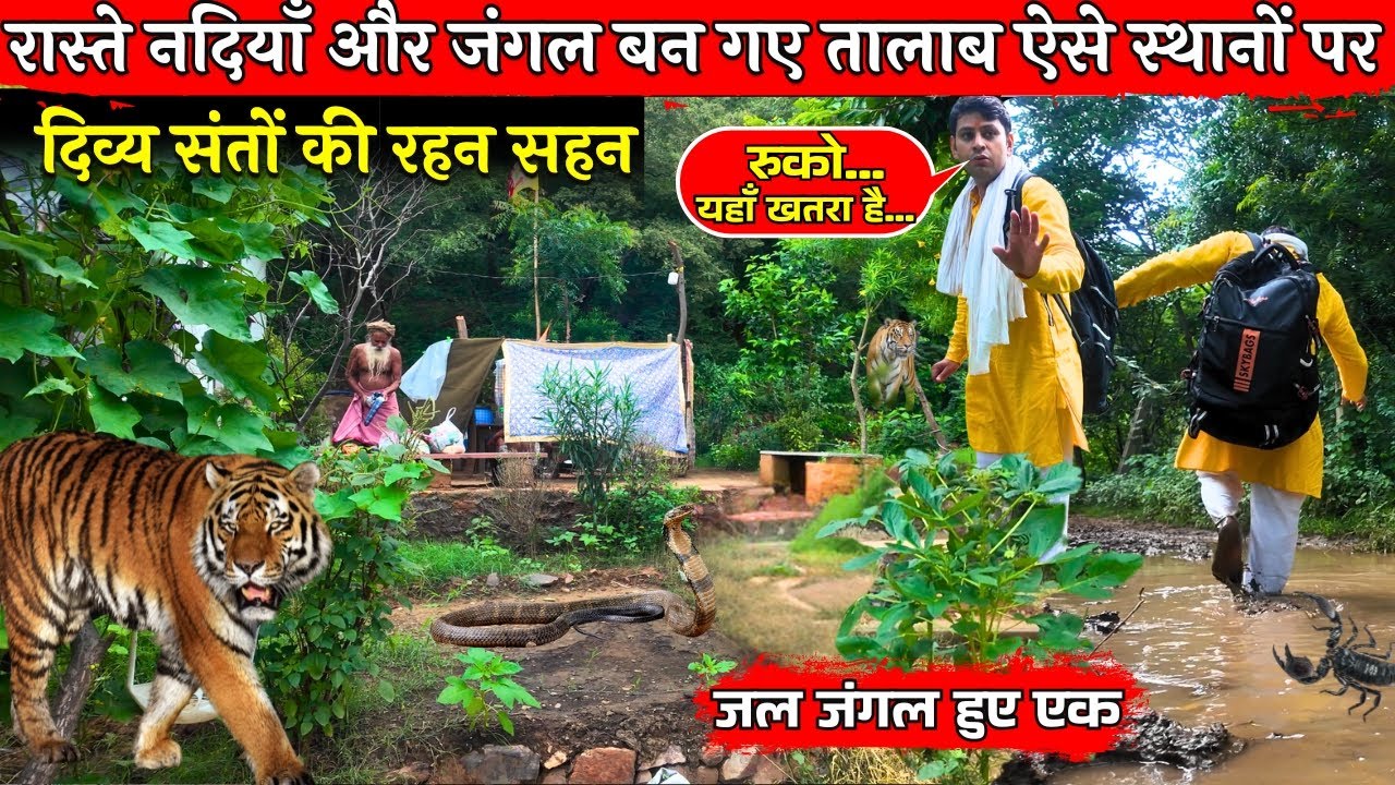 चारों ओर खूंखार जानवर और ऊपर से झमाझम बारिश में जंगल के संतों के दर्शन.. @BrajVihar #santdarshan