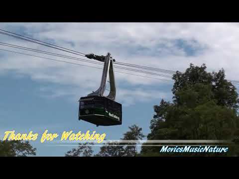 Aerial Tram Ride to Ober Gatlinburg