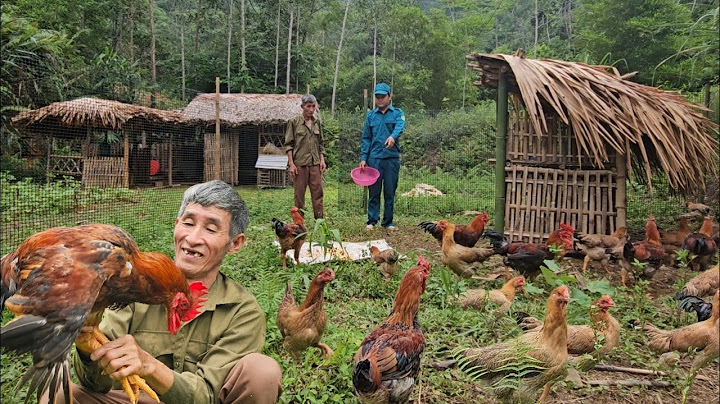 Homeless old man goes to harvest peanuts to sell at the market