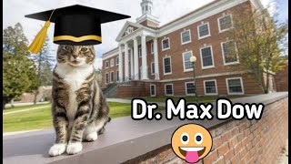 Cat awarded 'Doctor of Litterature' degree